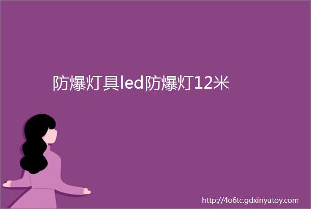 防爆灯具led防爆灯12米